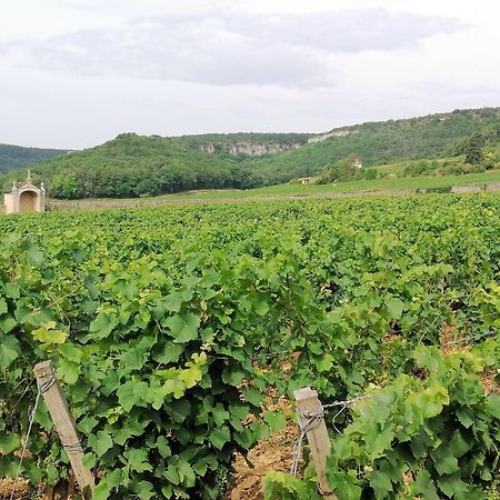 Gite Hautes Cotes De Nuits Curtil-Vergy Esterno foto