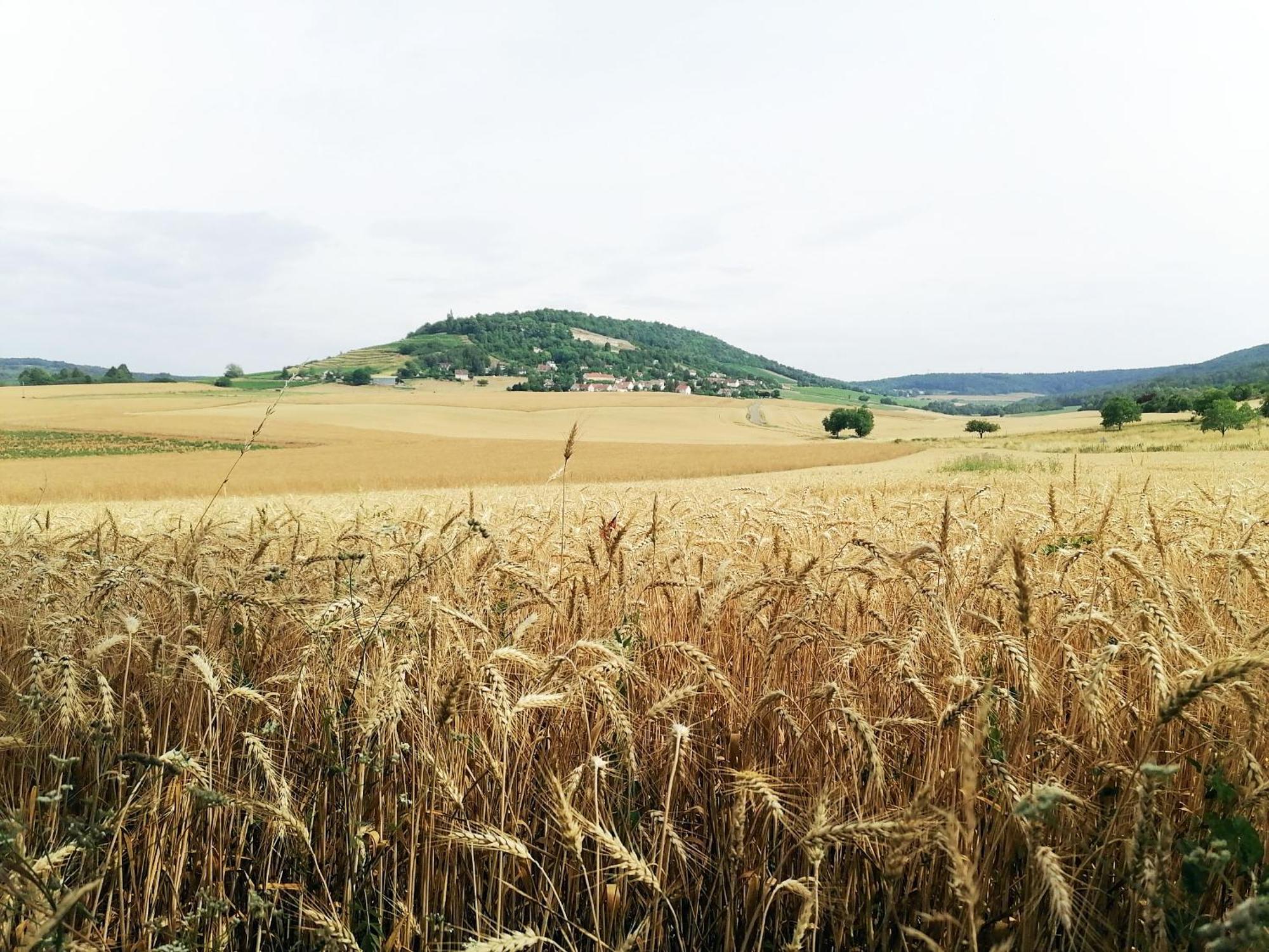 Gite Hautes Cotes De Nuits Curtil-Vergy Esterno foto