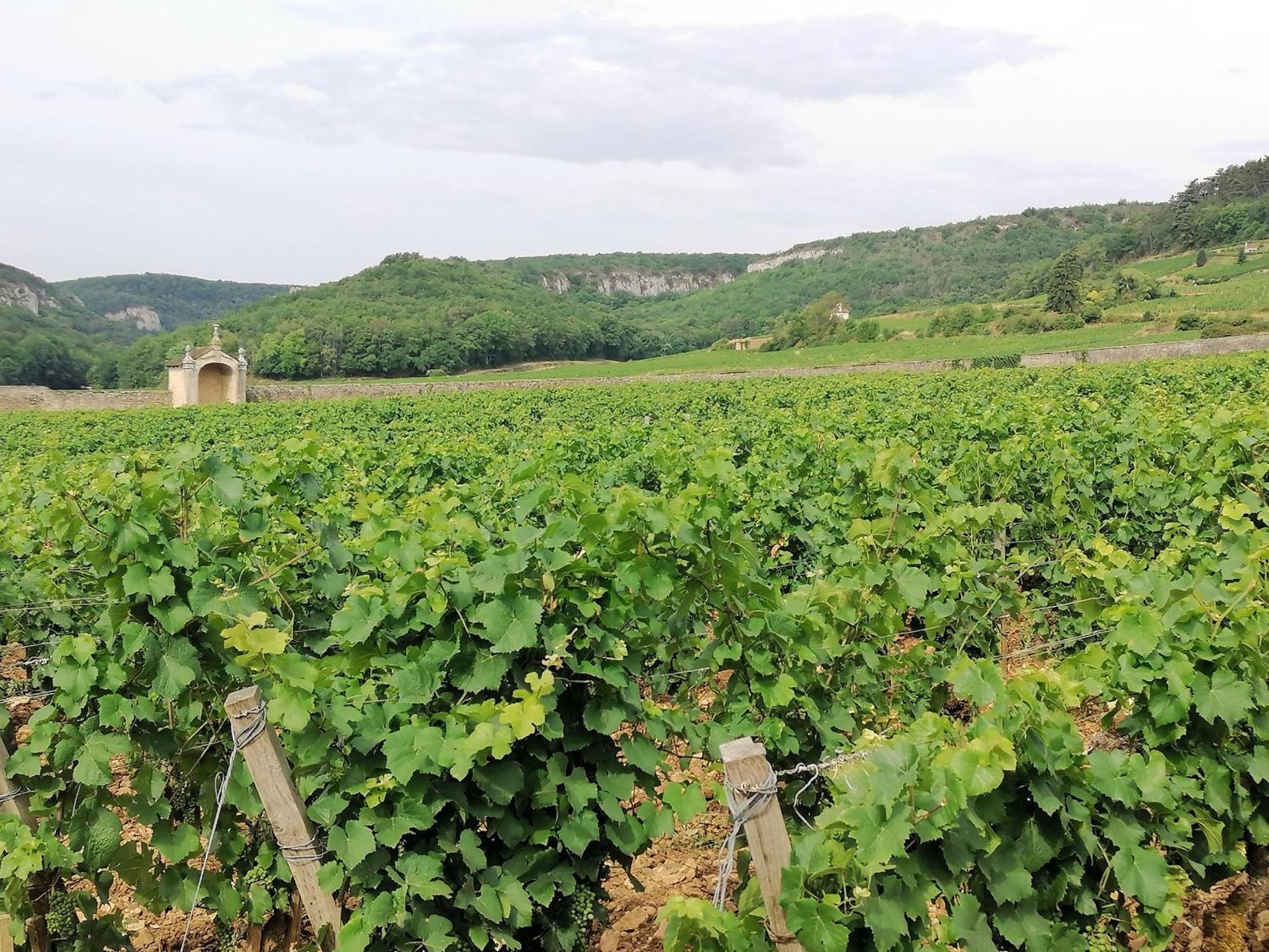Gite Hautes Cotes De Nuits Curtil-Vergy Esterno foto